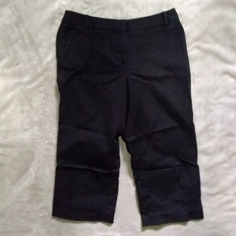 Ann Taylor Loft Cropped Dress Pants